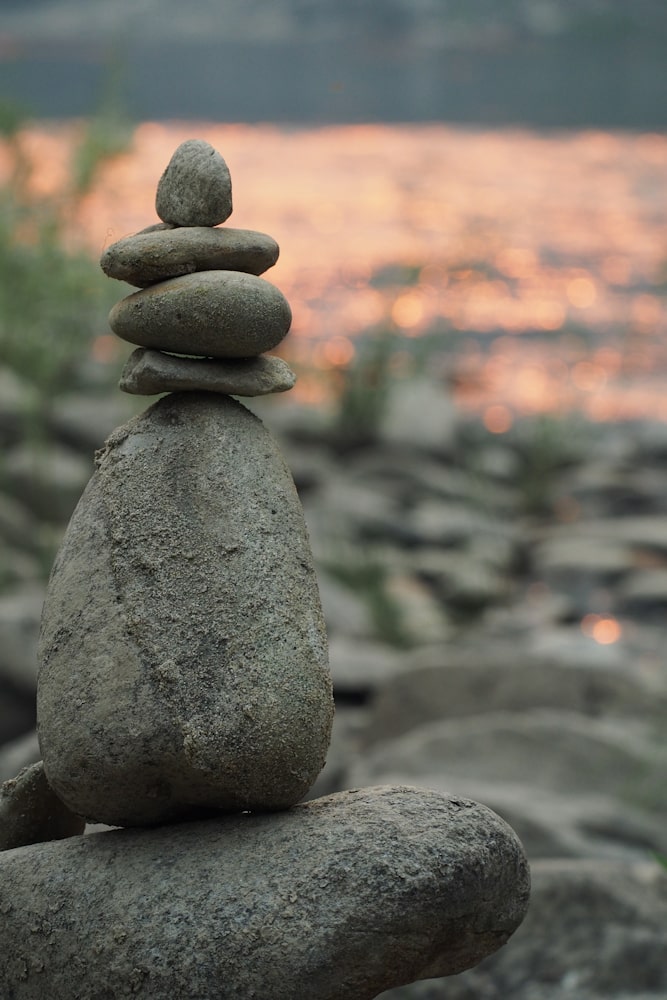 Pebbles_a_opt-min “Your present circumstances don’t determine where you can go; they merely determine where you start”
