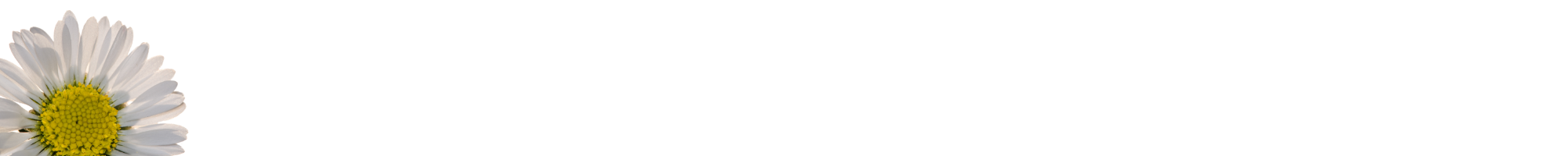 <span style="color:#c0e5e2">EMDR</span> Memory and<br /> Information Processing