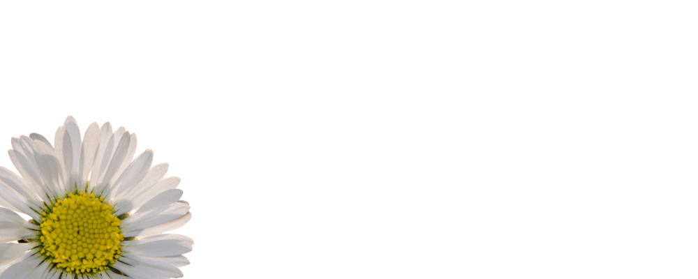 <span style="color:#c0e5e2">EMDR</span> Memory and Information Processing