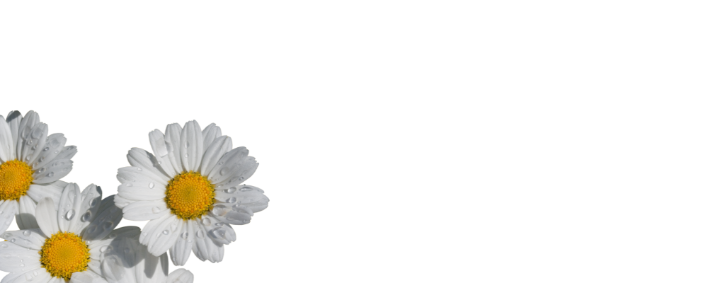 Parts and<br /> <span style="color:#c0e5e2">Self</span> Parts and<br /> <span style="color:#c0e5e2">Self</span>